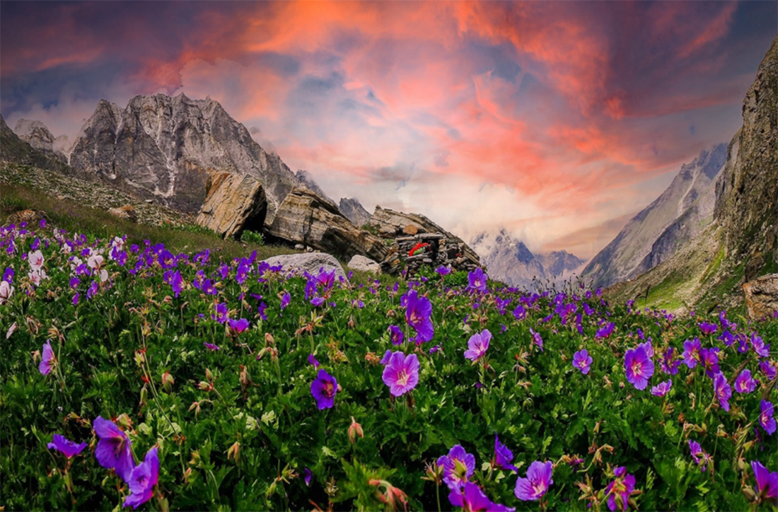 Valley of Flowers